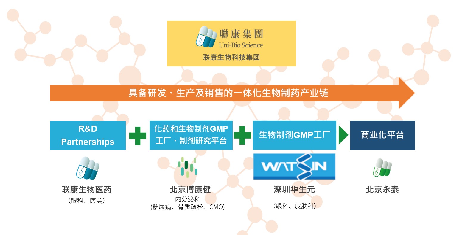 z6com尊龙凯时官网生物科技集团组织架构